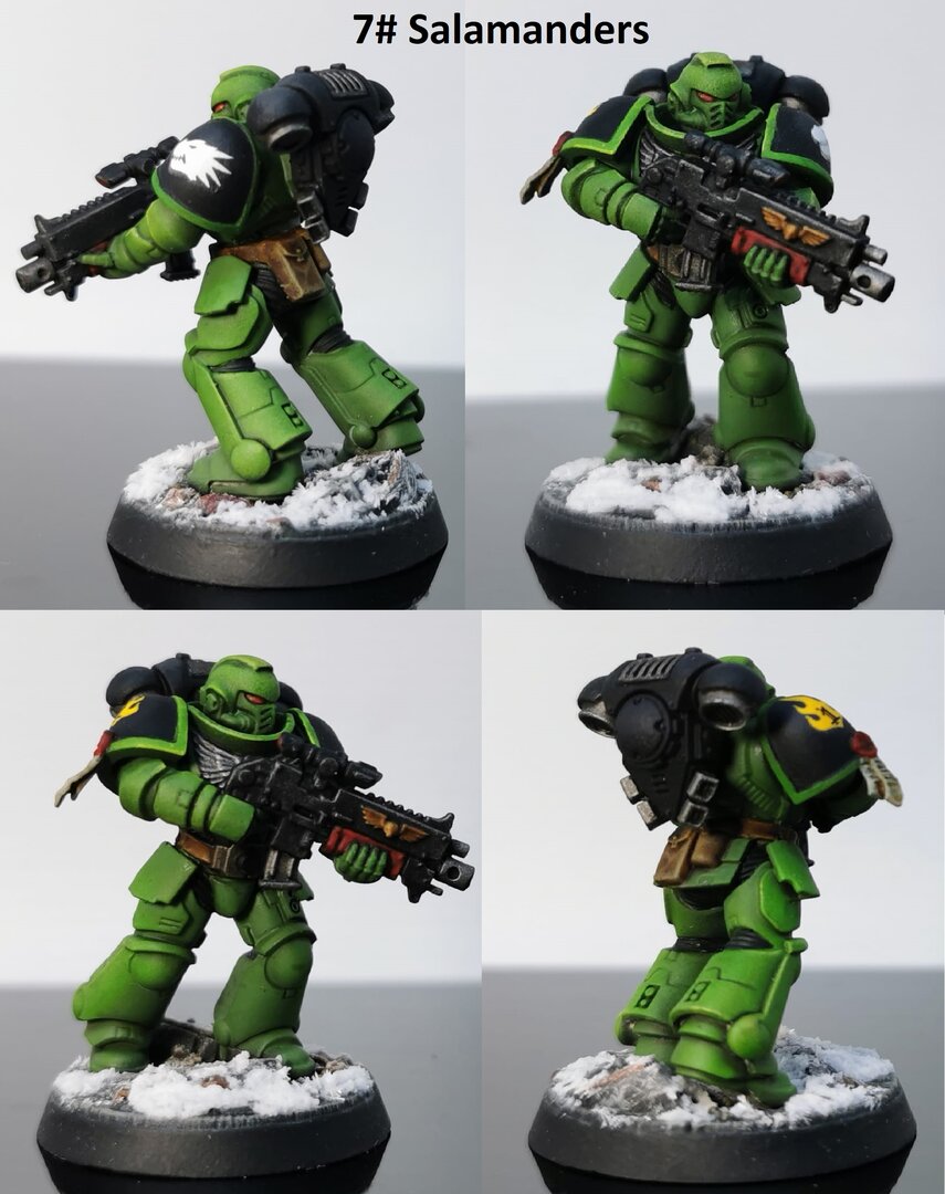 7# Salamanders.jpg