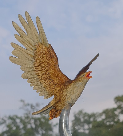 Adler neu Matt jpg.jpg