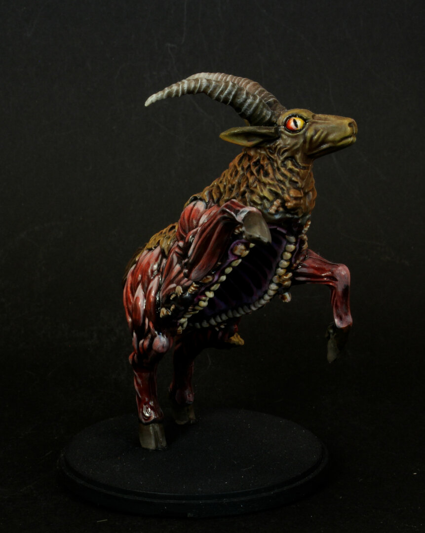 Antilope1.jpg