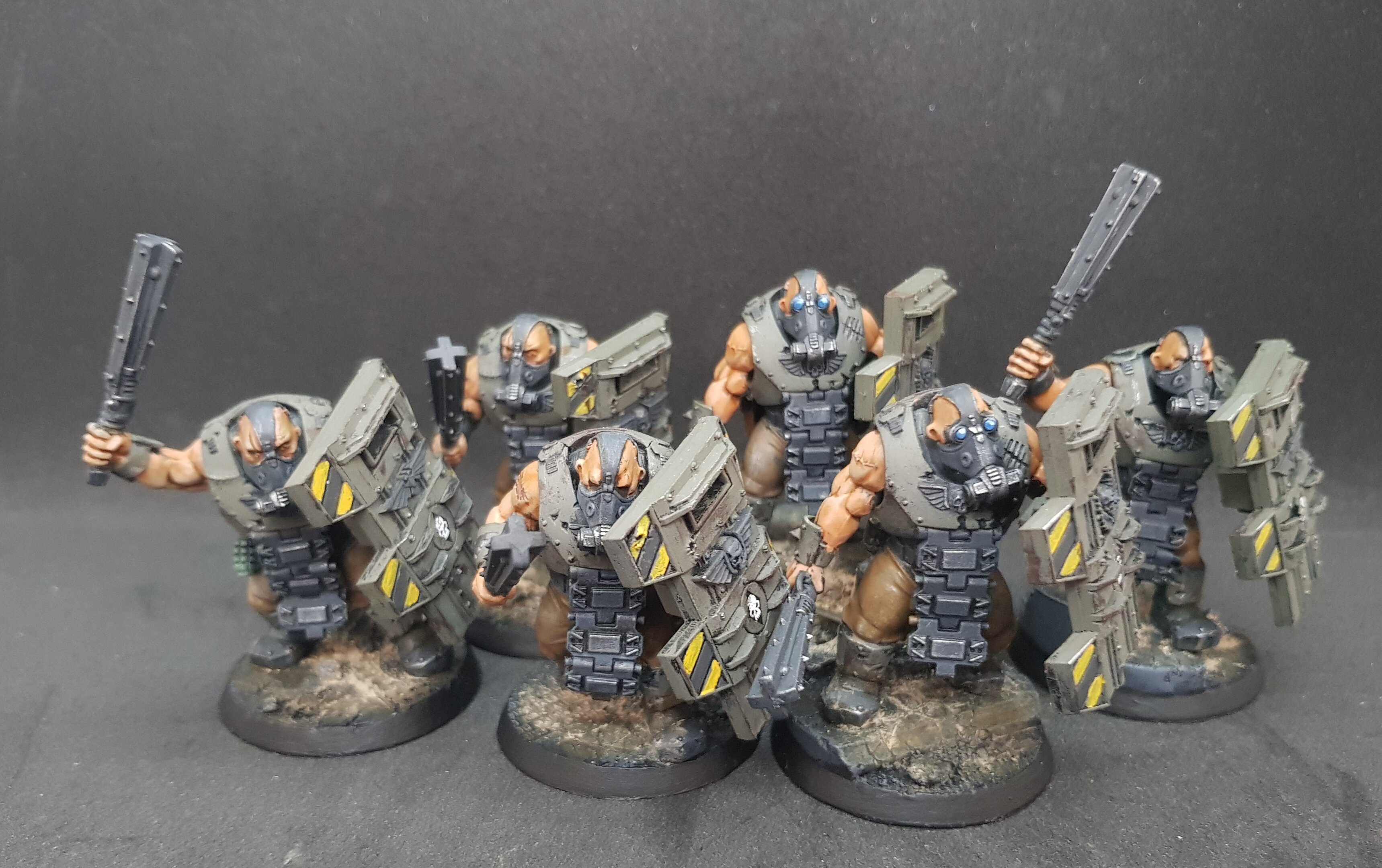 Bullgryns 3.jpg