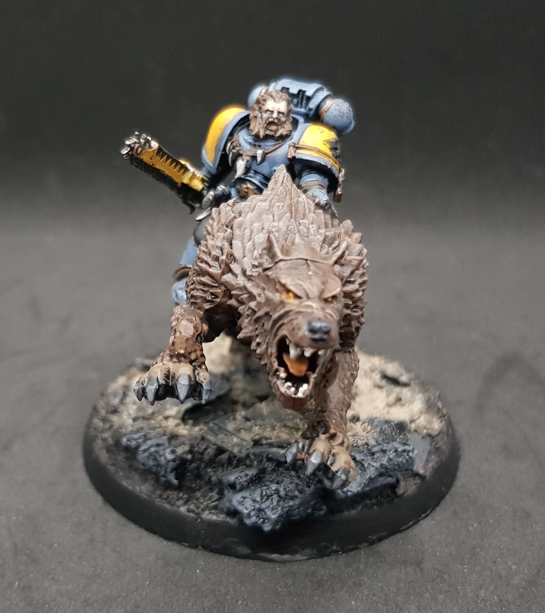 Donnerwolf 4.jpg