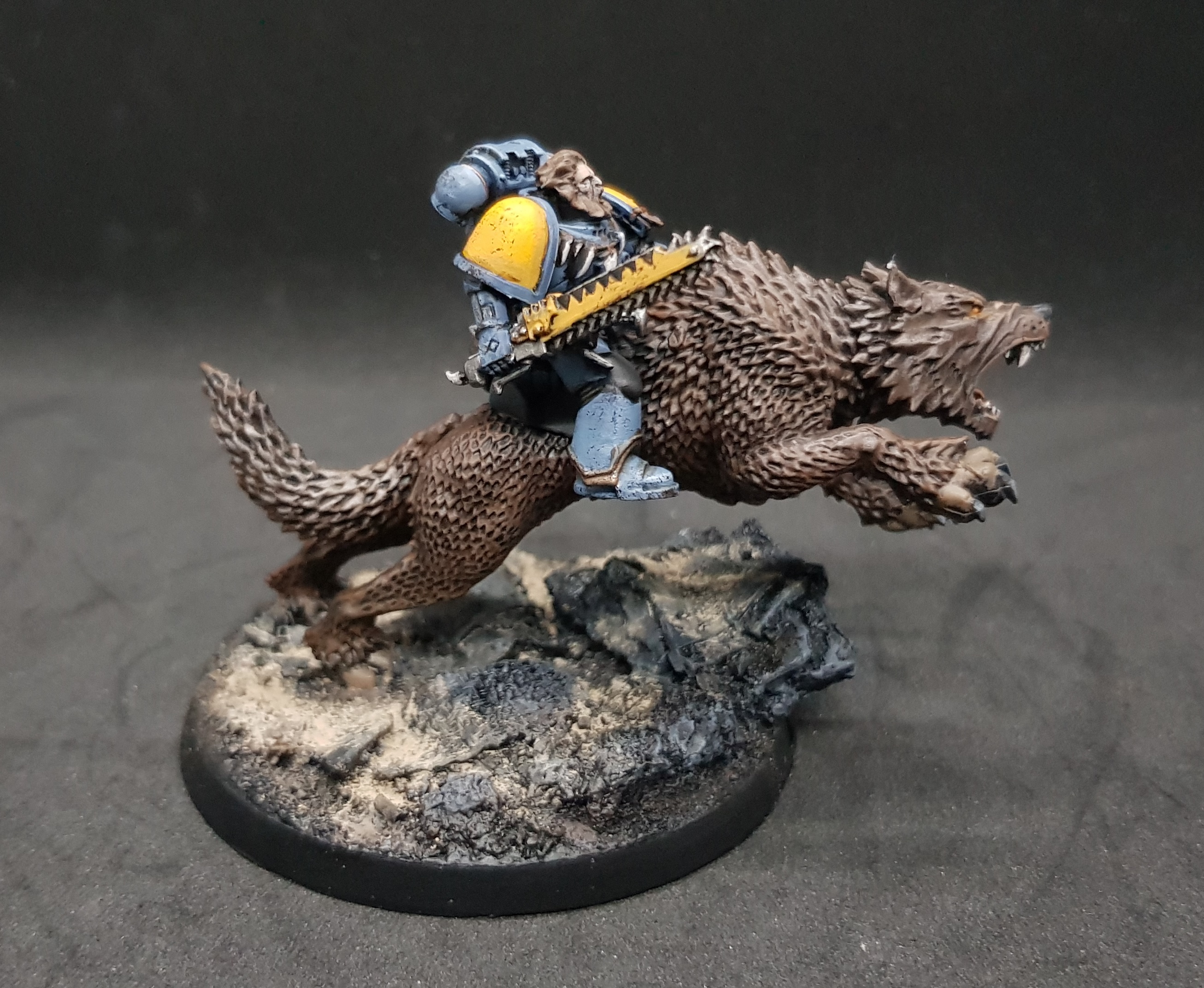 Donnerwolf 5.jpg
