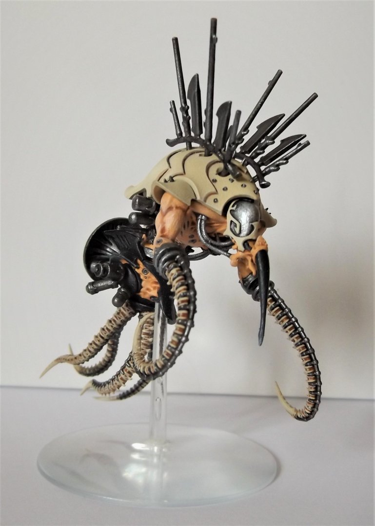 Drukhari1.jpg
