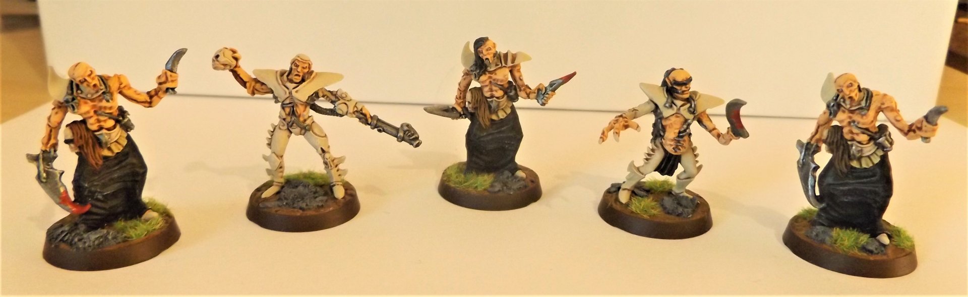 Drukhari12.jpg