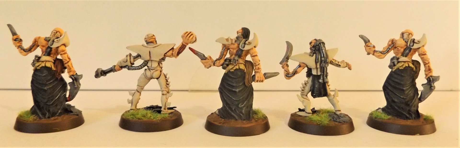 Drukhari13.jpg