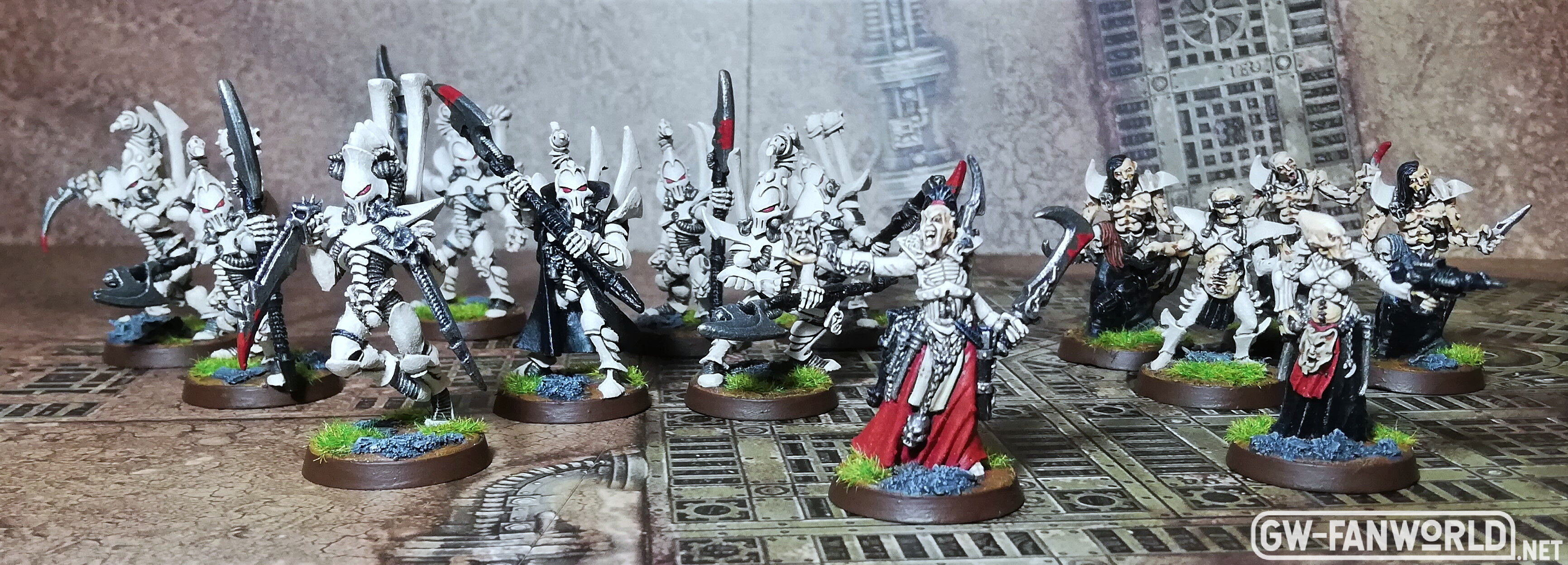 Drukhari25.jpg