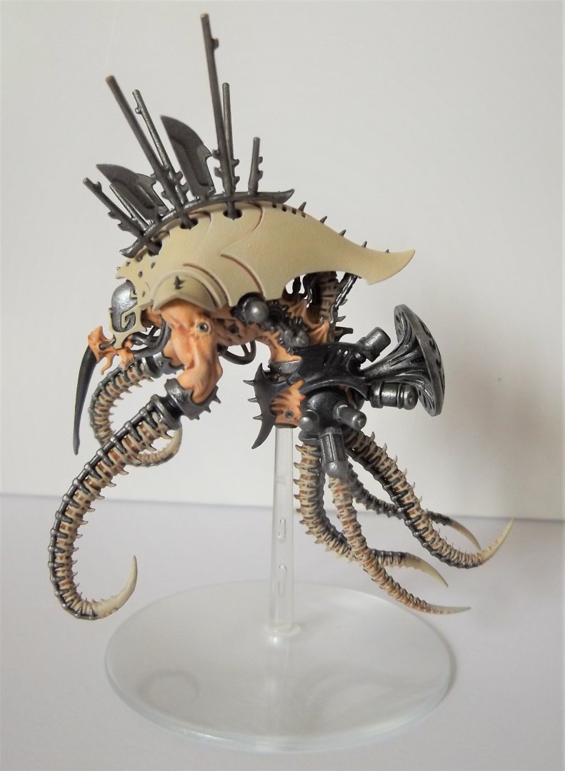 Drukhari5.jpg