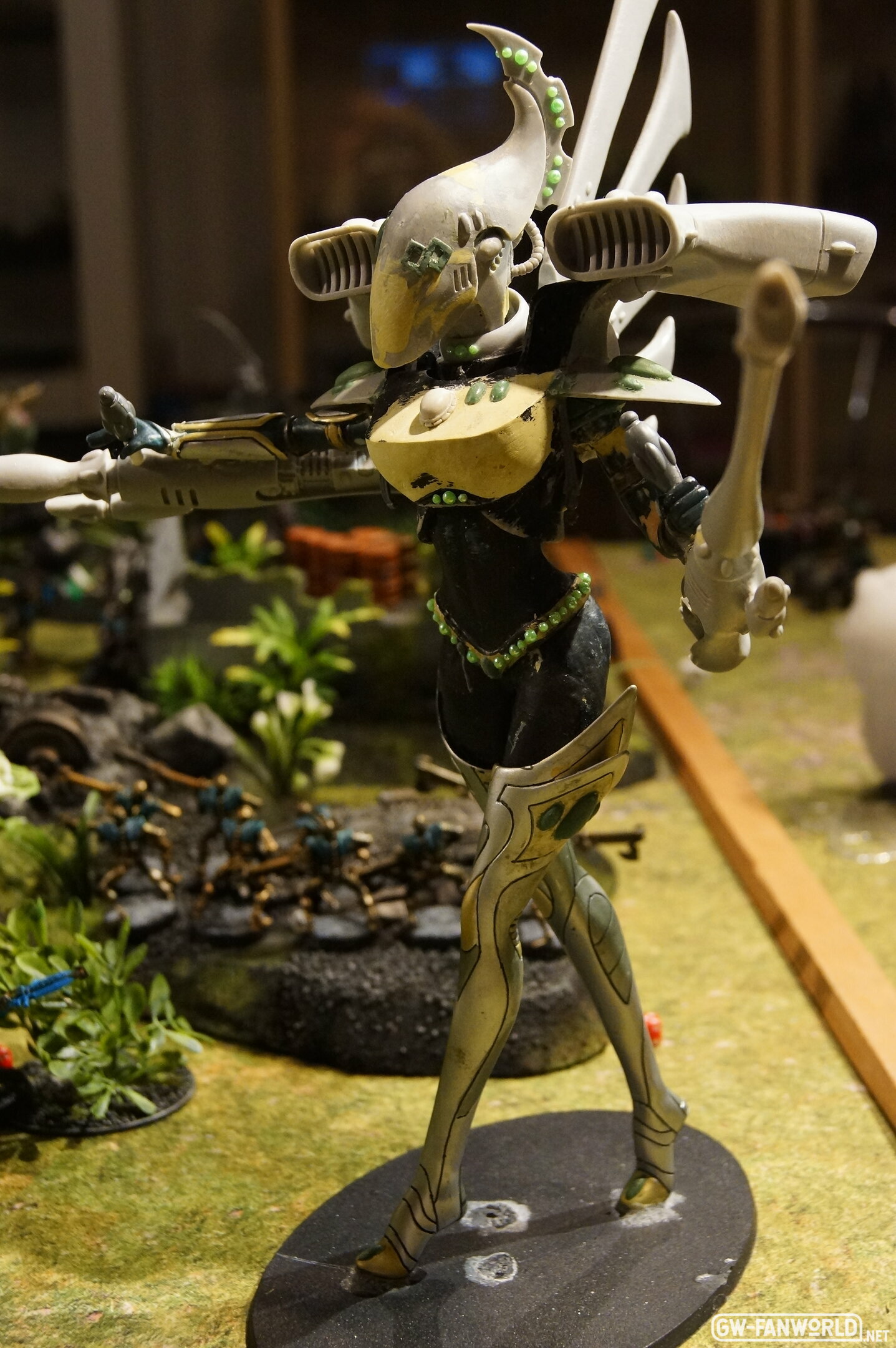 DSC07573.JPG