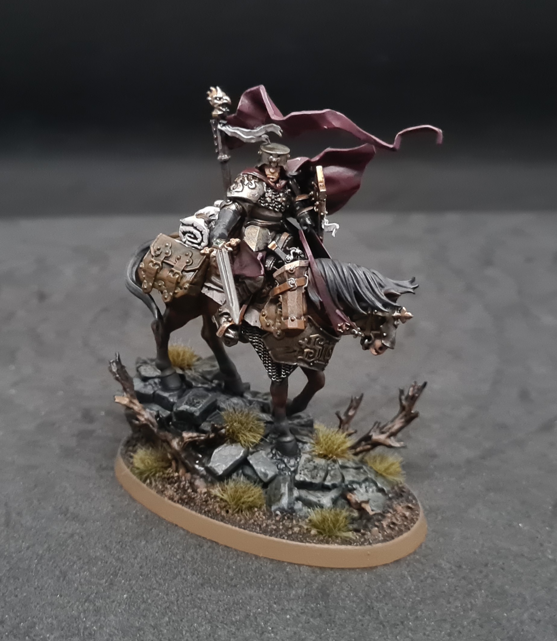 Freeguild Marshal 1.jpg