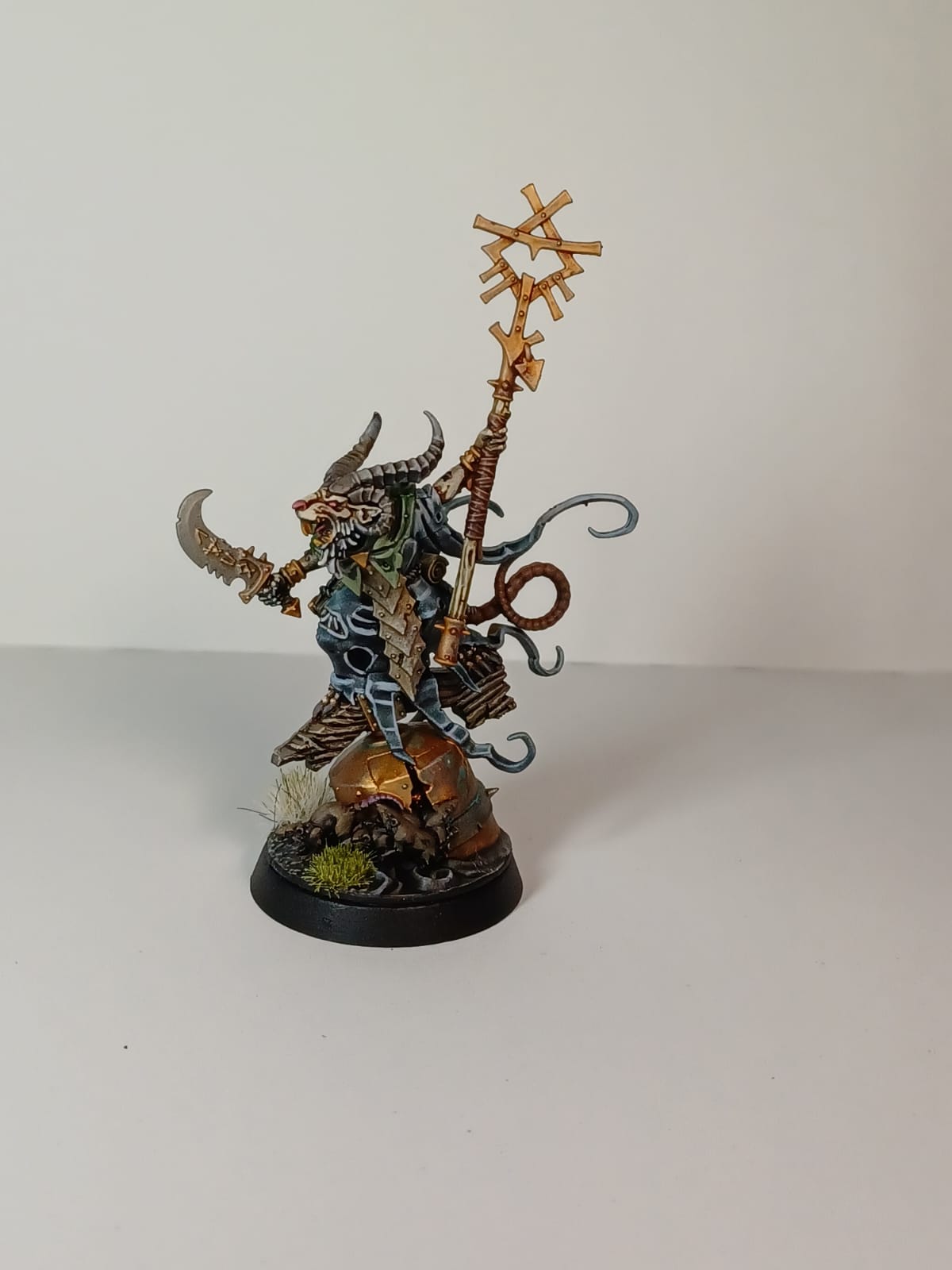 Grey Seer 1.jpg