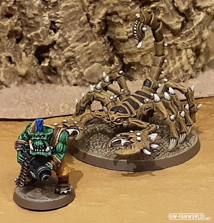 Großer Wüstenskorpion