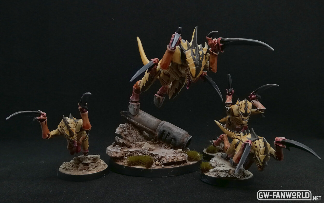 Group Shot.jpg