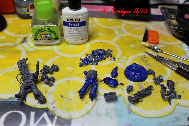 GWFW Dorn beide fixed.jpg