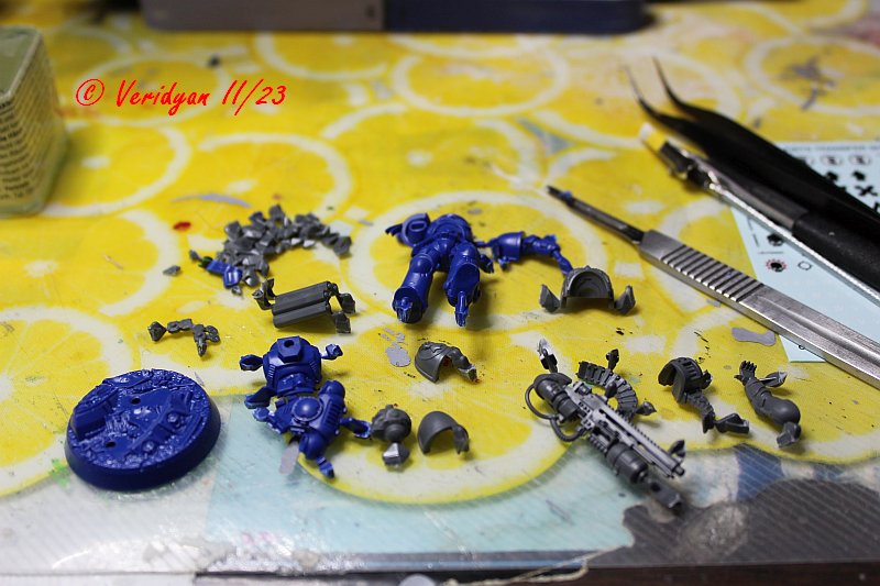 GWFW Dorn kitbash roh.jpg