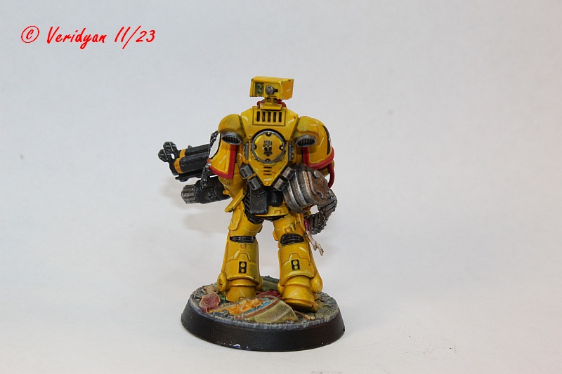 GWFW Primaris hinten.jpg
