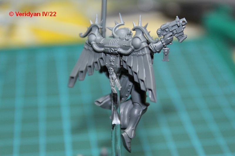 GWFW Zephyrim Diagonal Backside.jpg