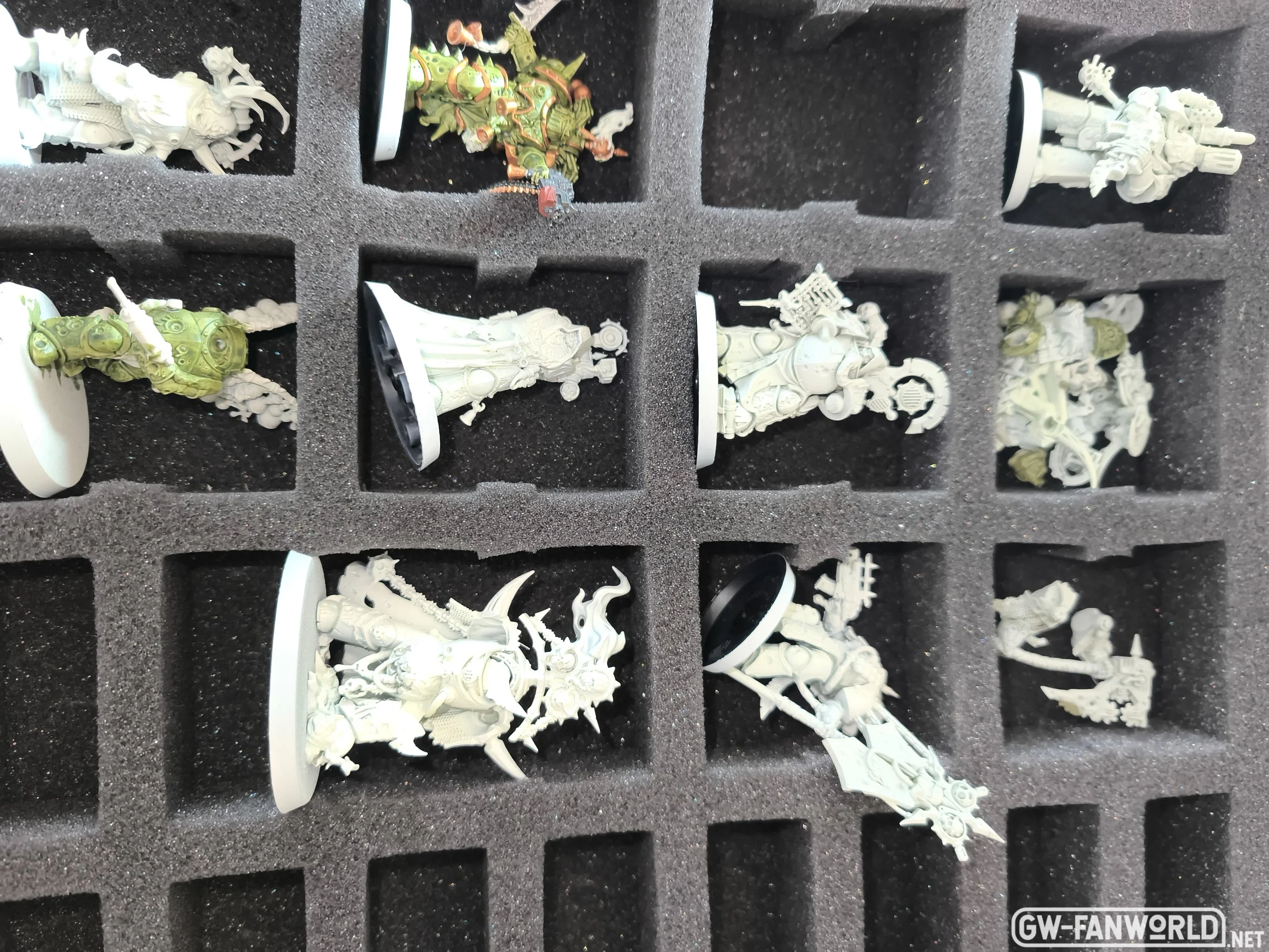 IMG_20250821_175231.webp