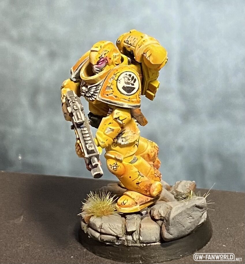 Imperial Fist Marine