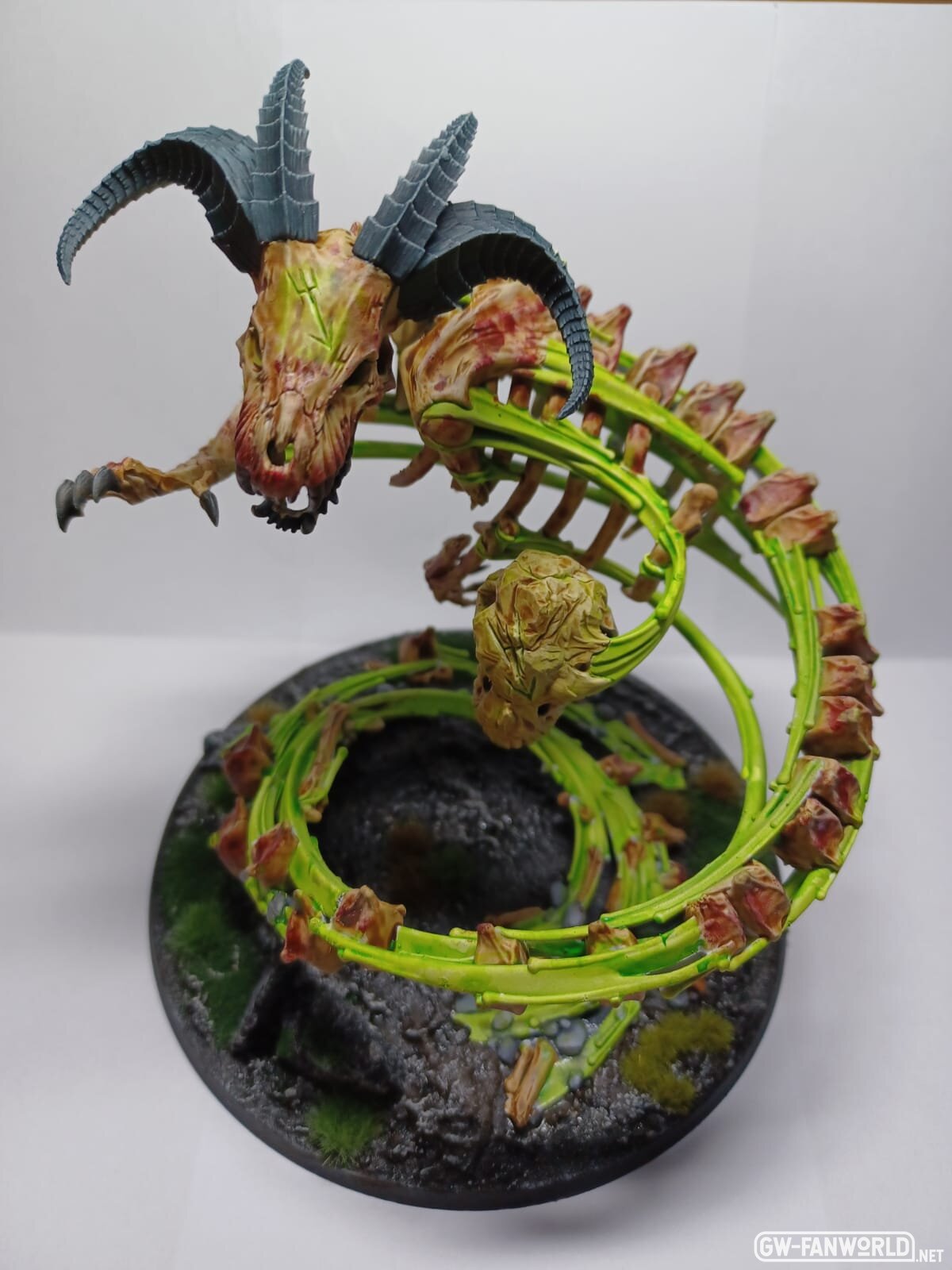 Krondspine 1.jpg