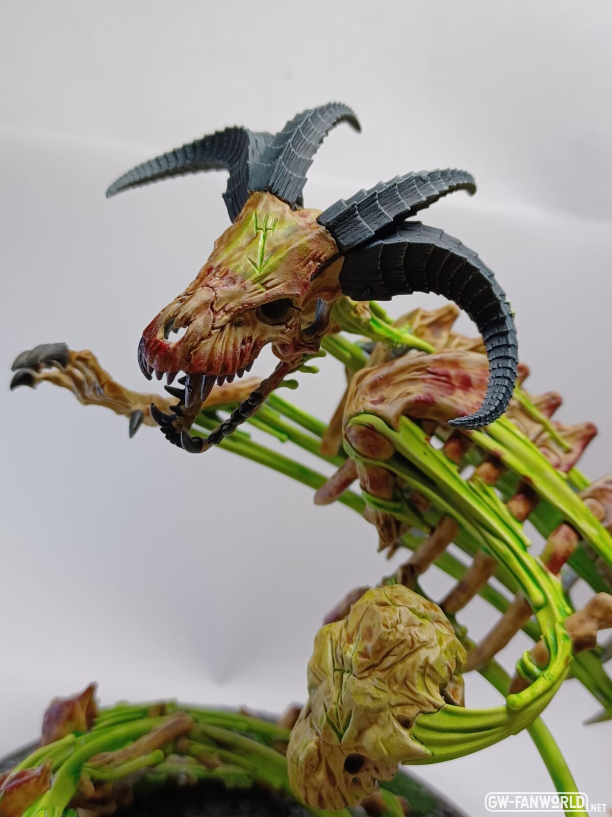 Krondspine 3.jpg