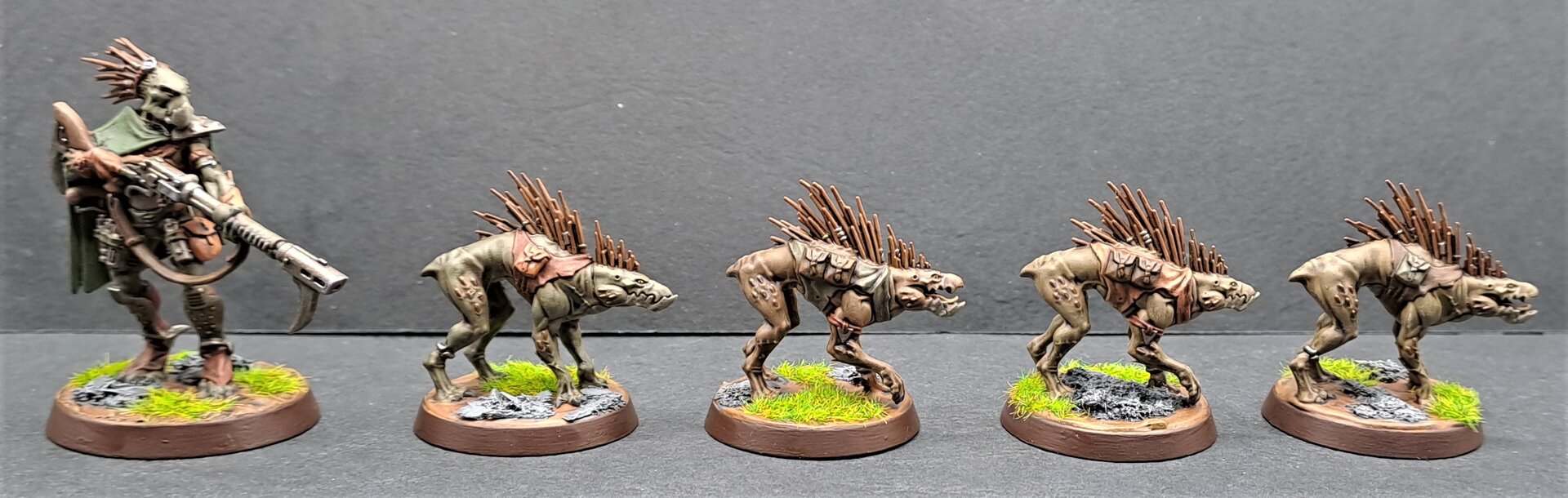Kroot1.jpg