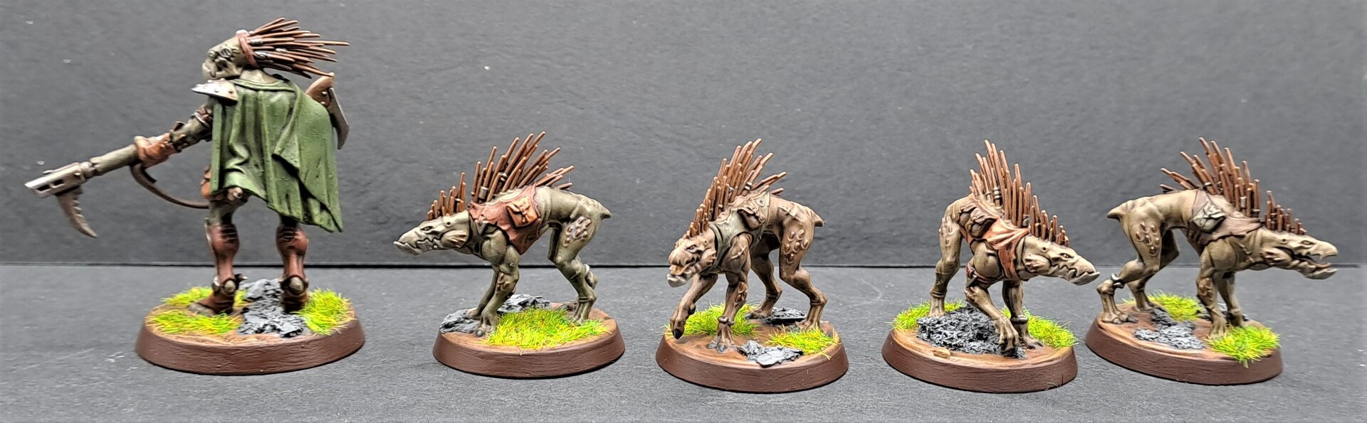 Kroot2.jpg