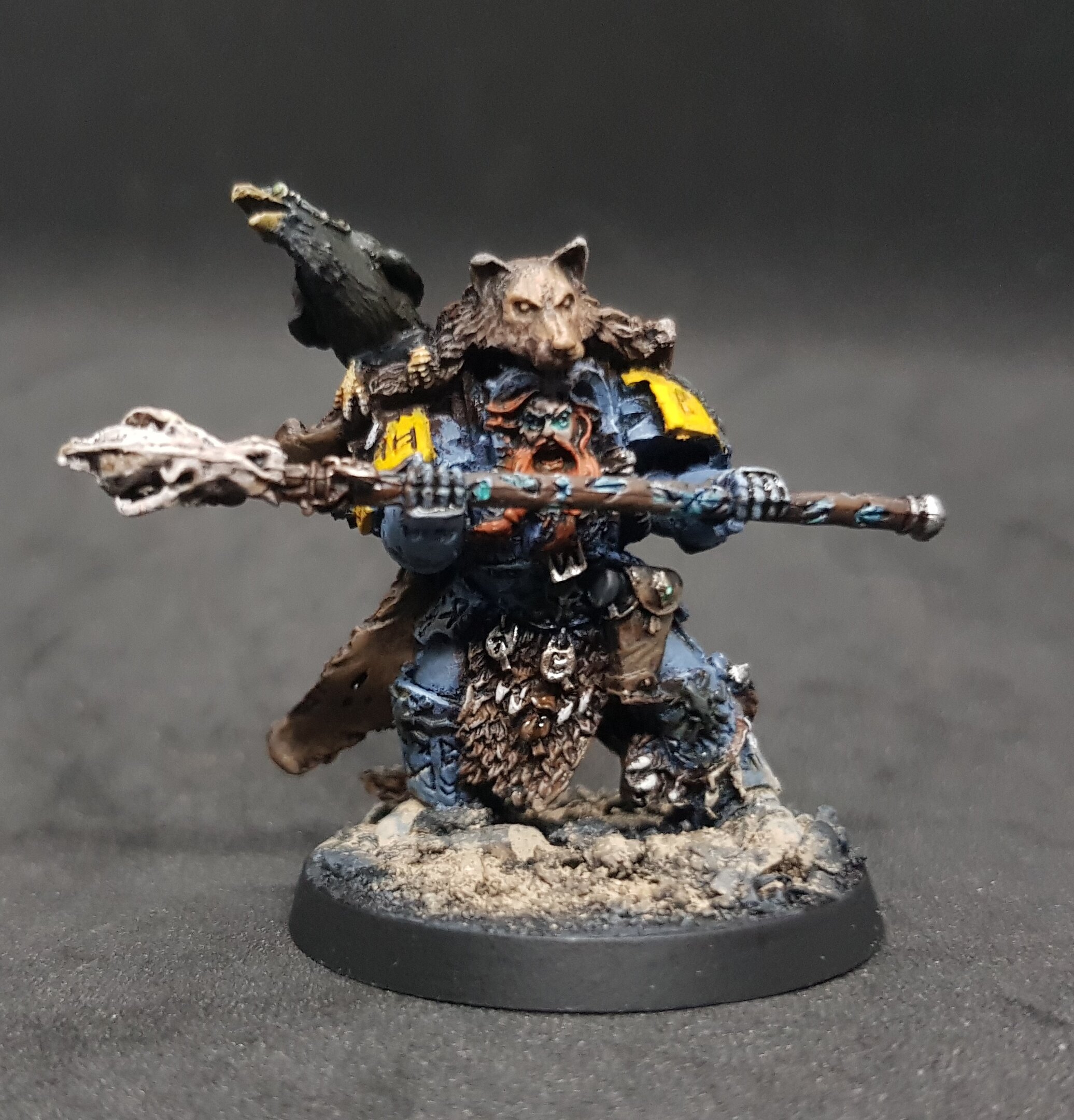 Njal Stormcaller 1.jpg