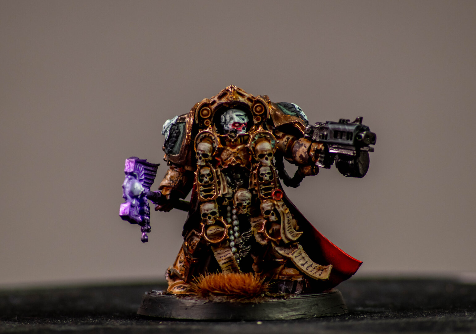 oli-5.jpg