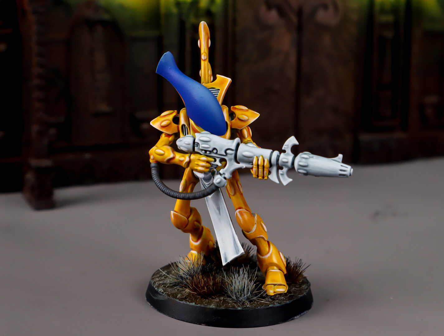 oli-7.jpg