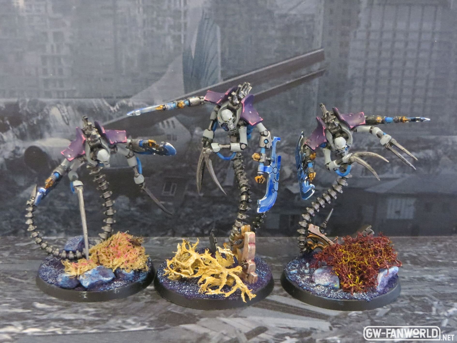 Ophydian Destroyers.JPG