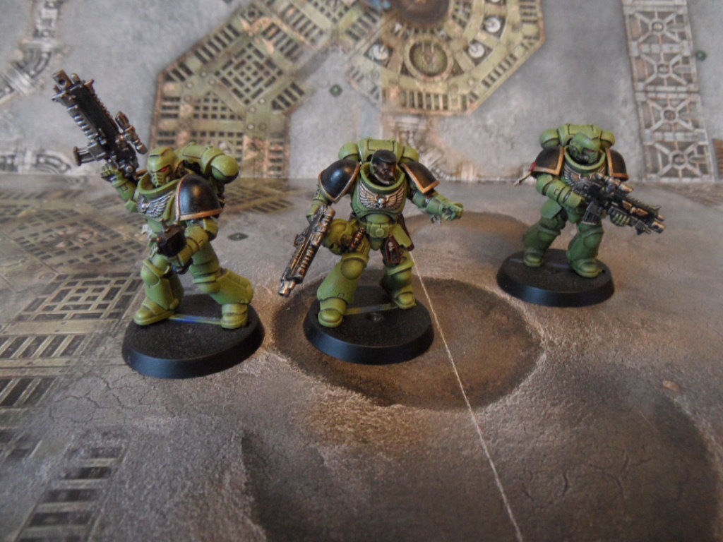 primaris3.JPG