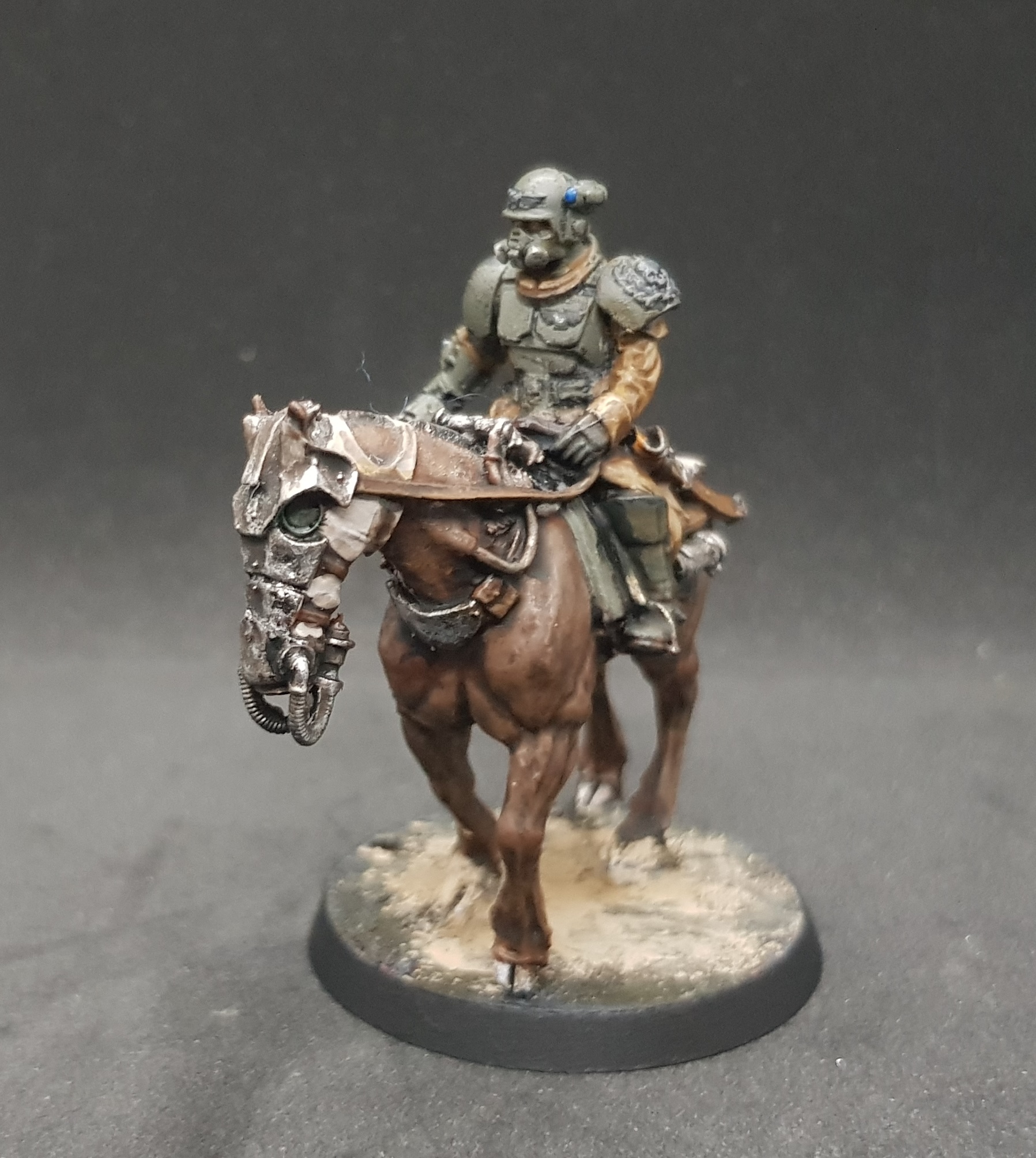Rough Rider 1.jpg