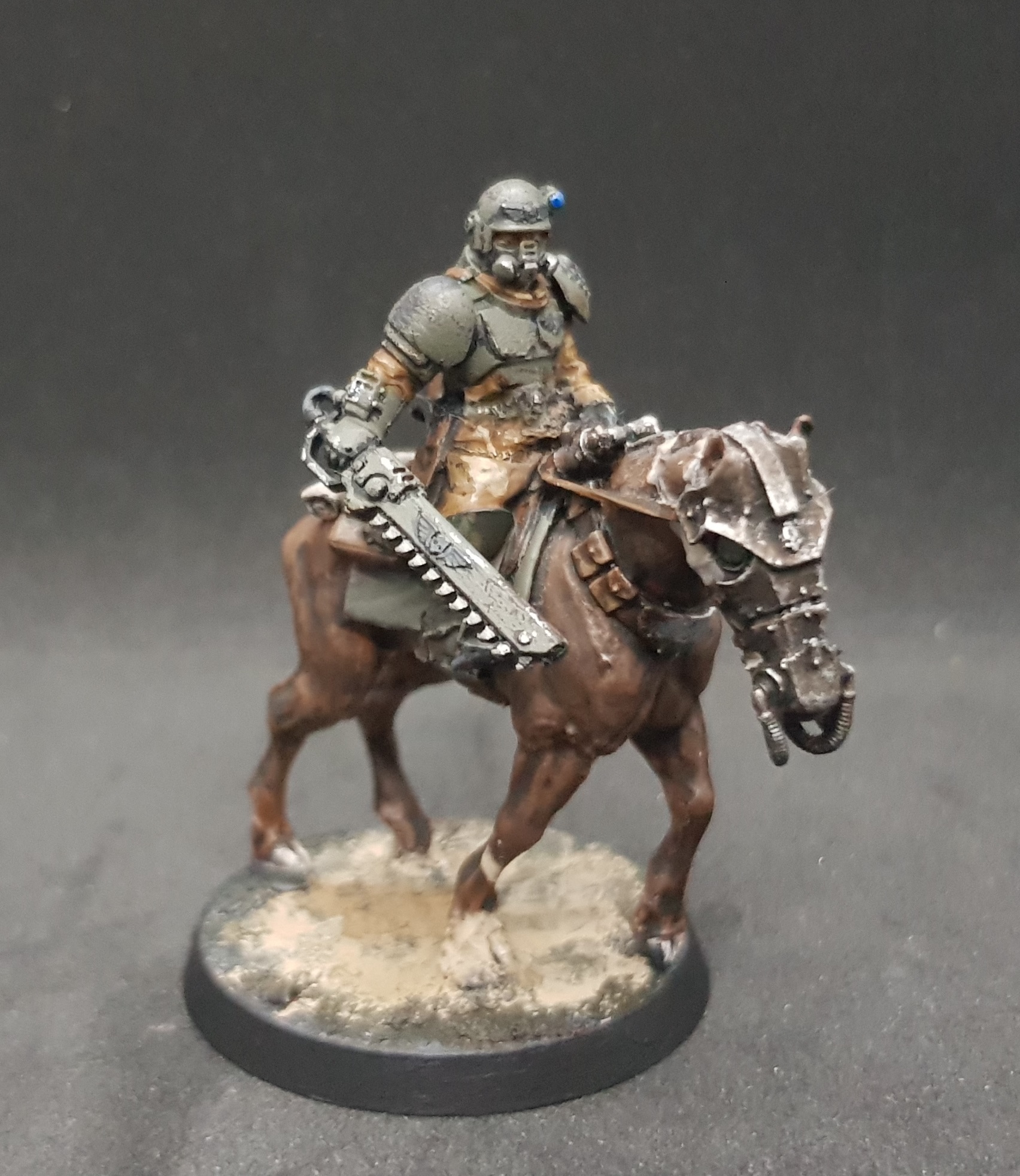 Rough Rider 2.jpg