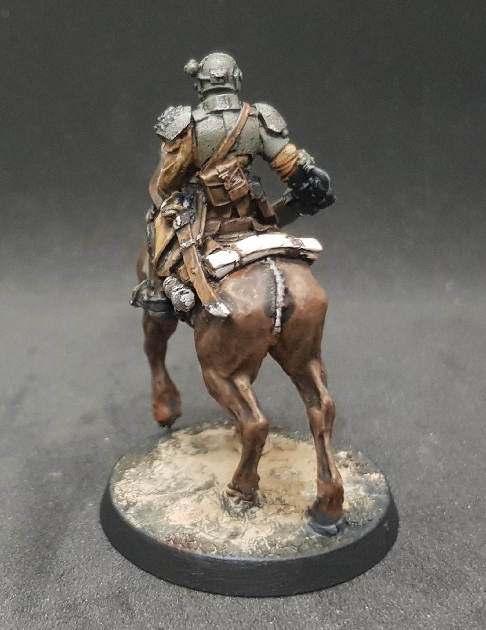 Rough Rider 3.jpg