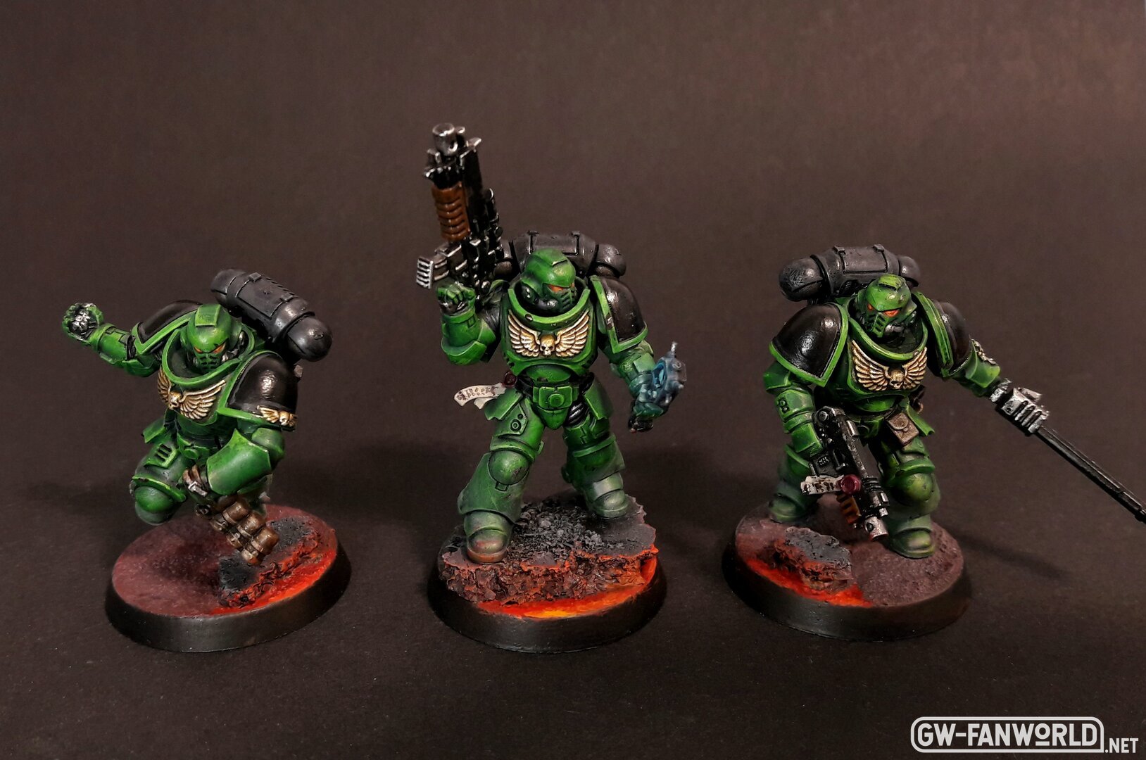 Salamanders KT 2