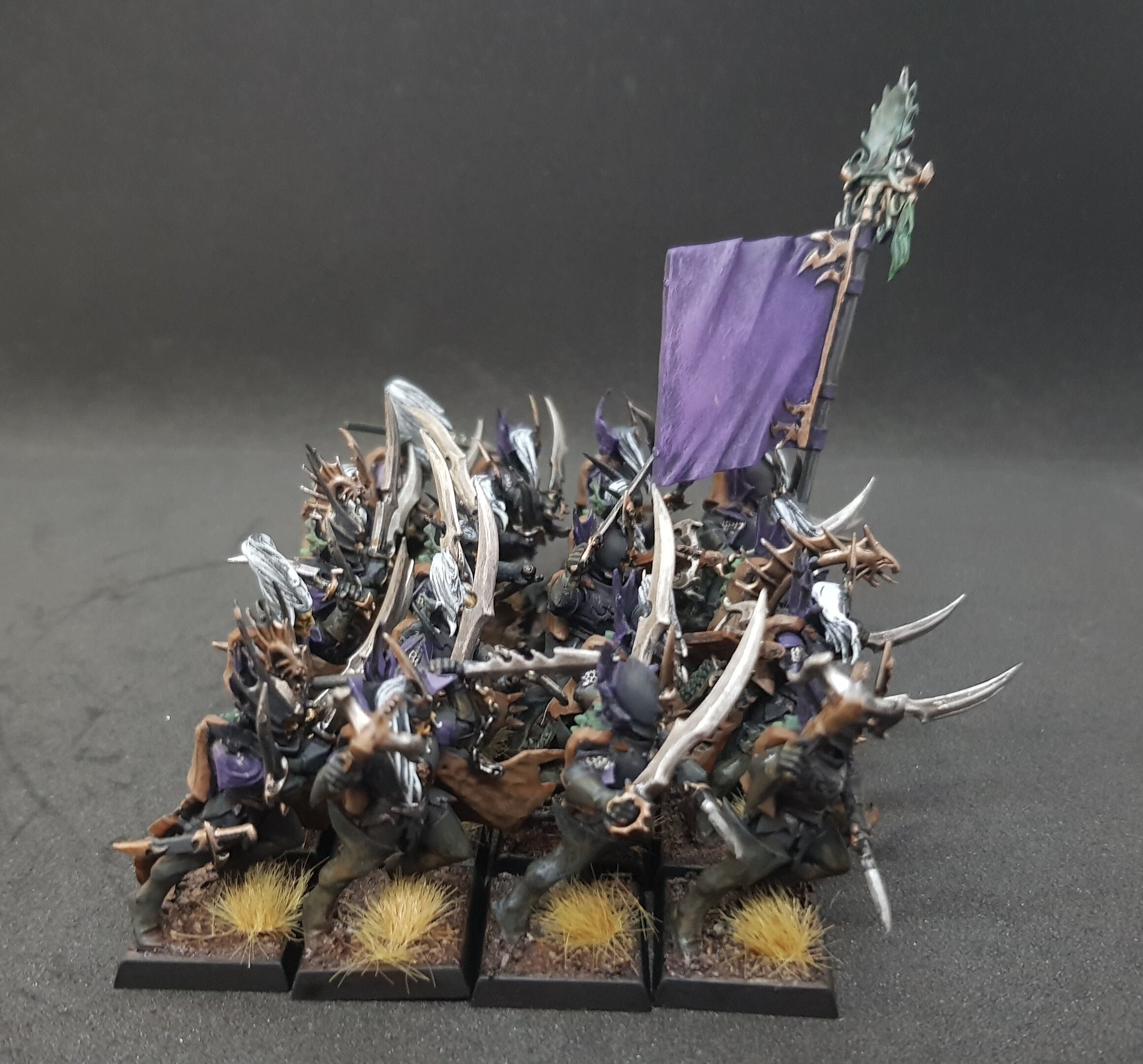 Schwarze Korsaren 4.jpg
