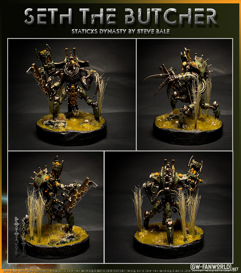 SETH THE BUTCHER