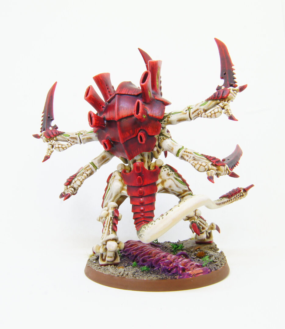 sh4.jpg