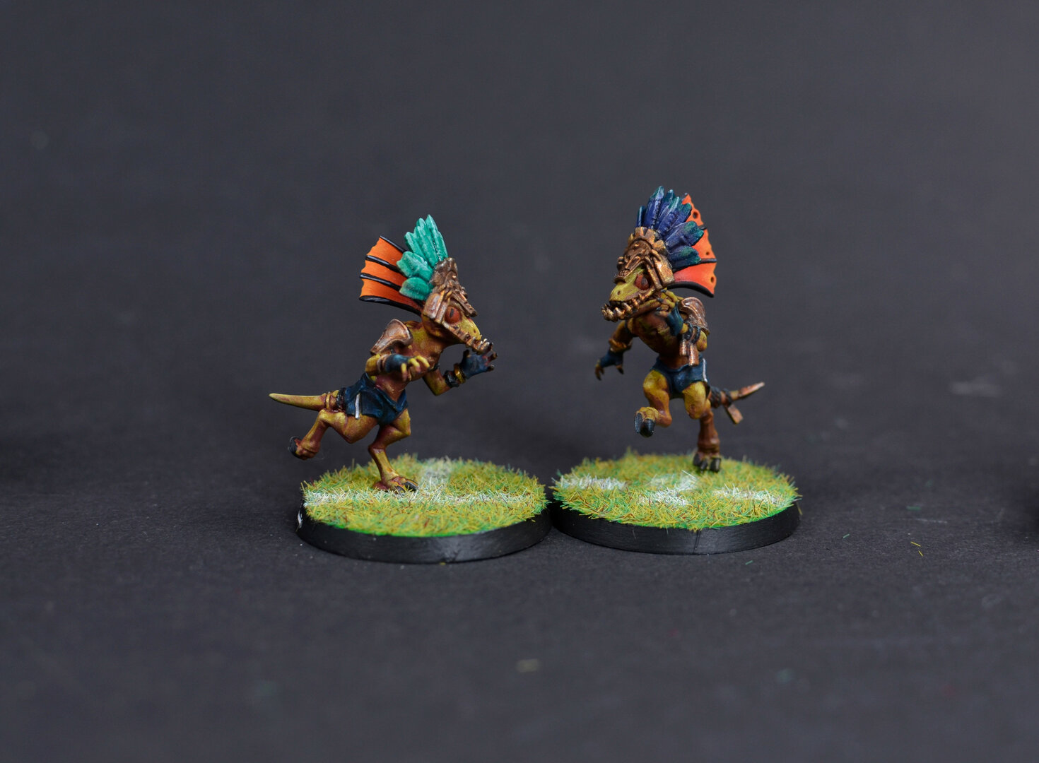 Skinks.jpg