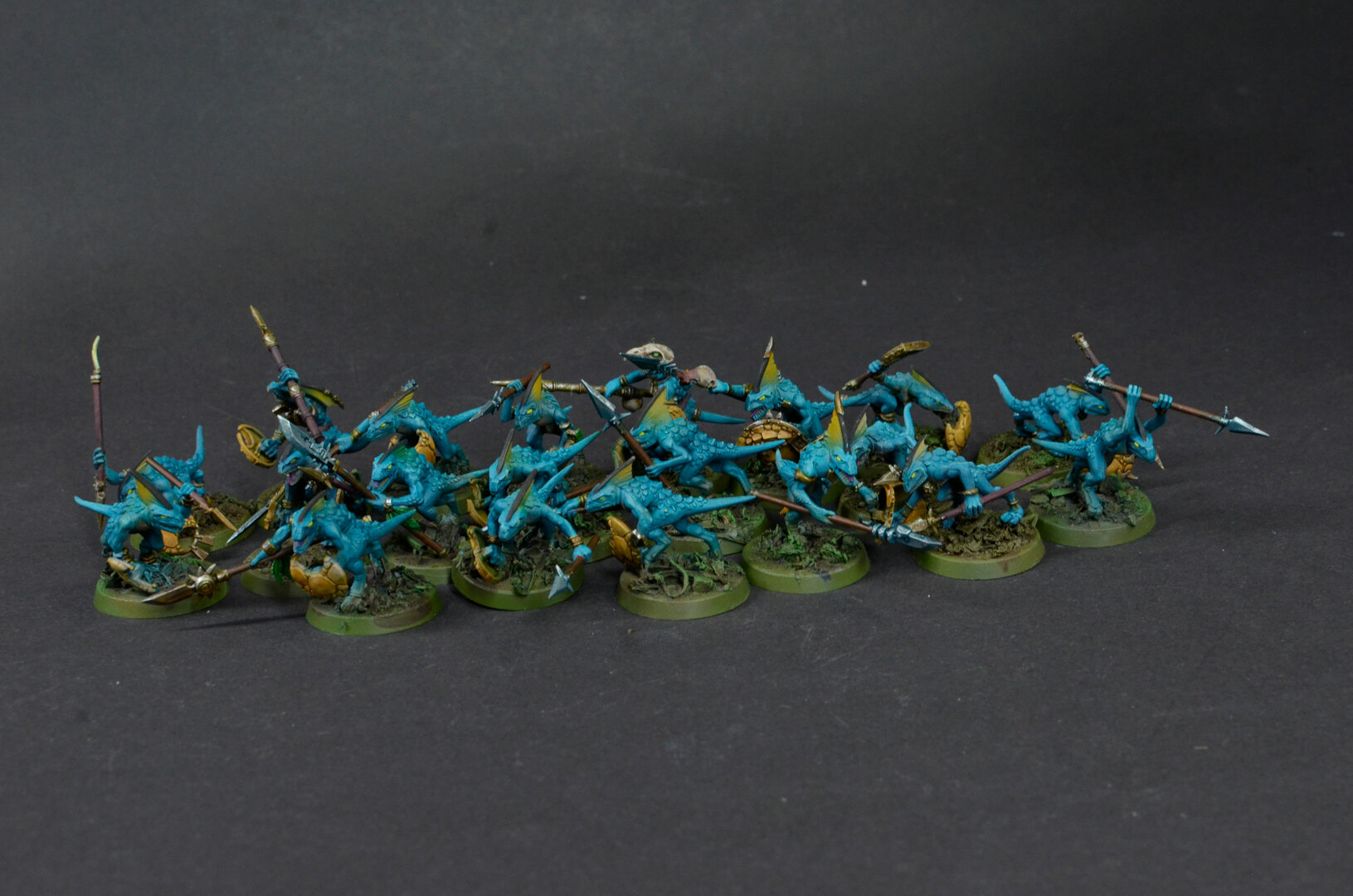 skinks.JPG
