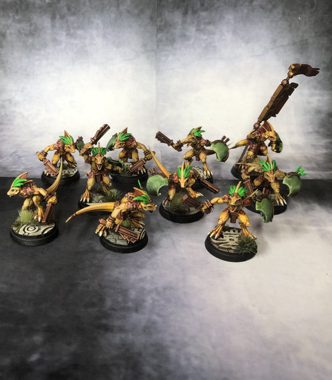 skinks1.jpeg