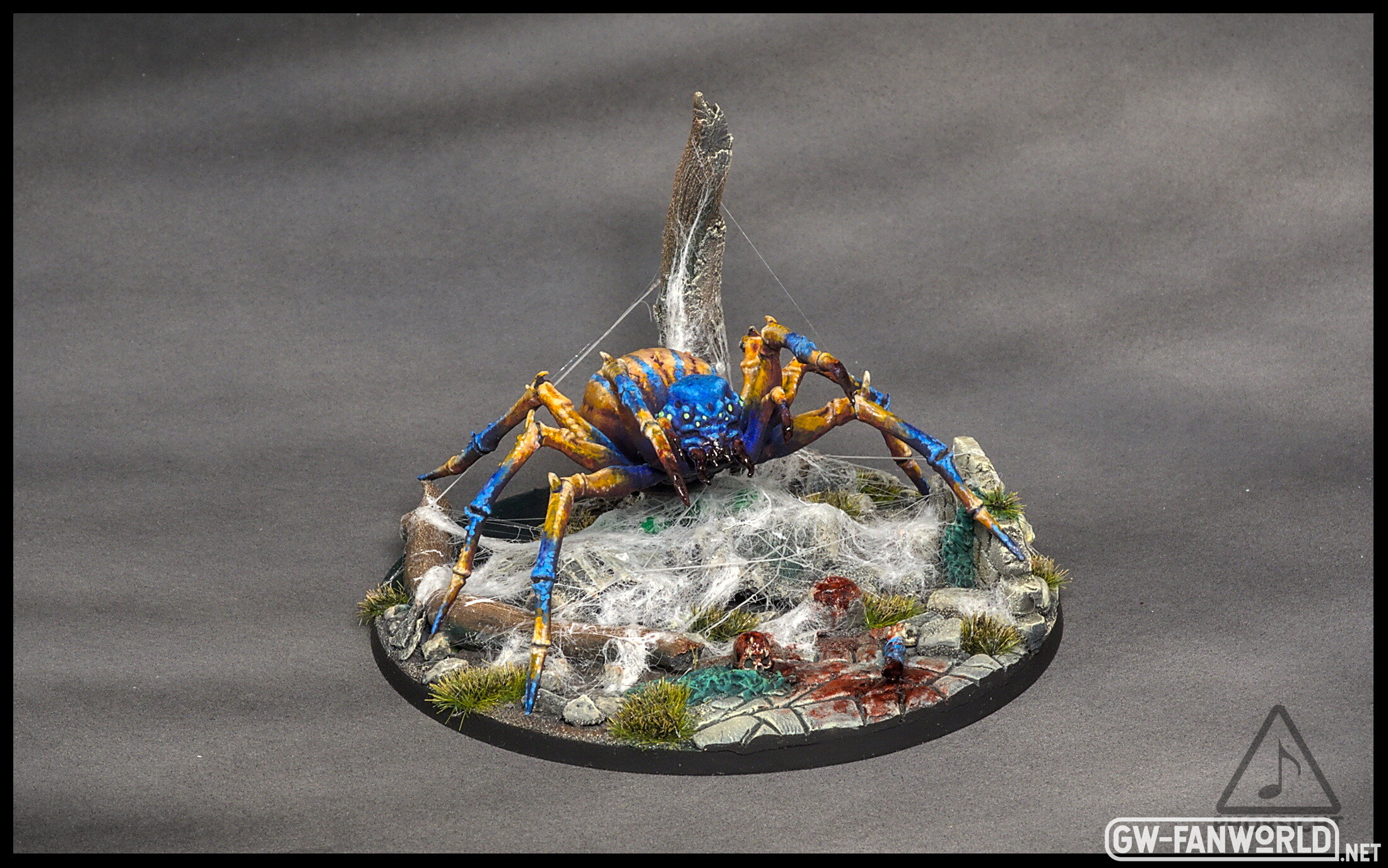 Spinne groß_vorne rechts.jpg