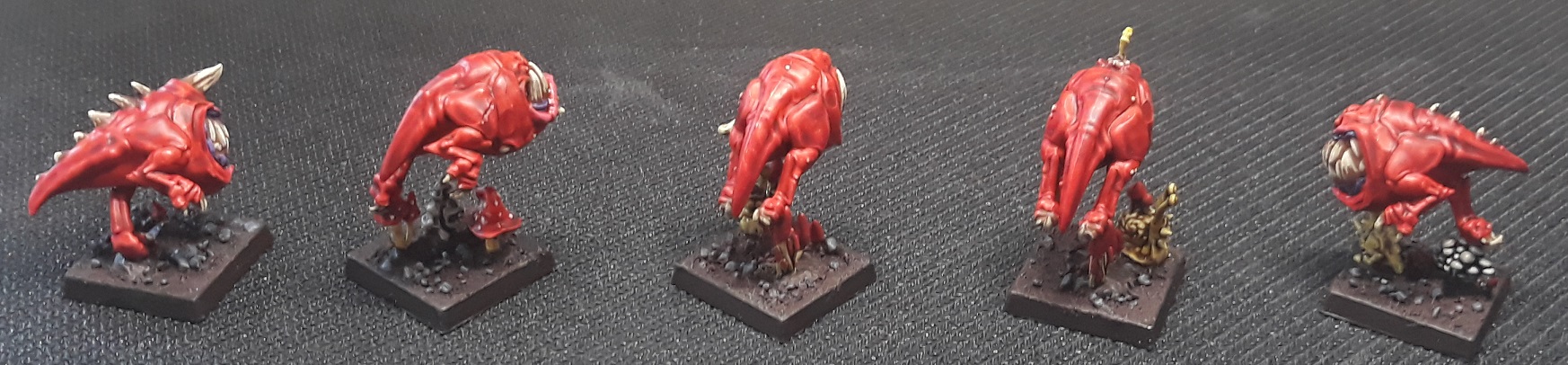 Squigs2.jpg