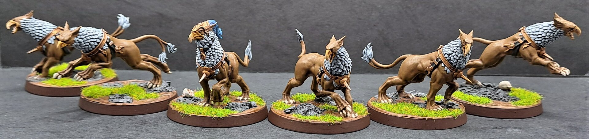 Stormcast74.jpg