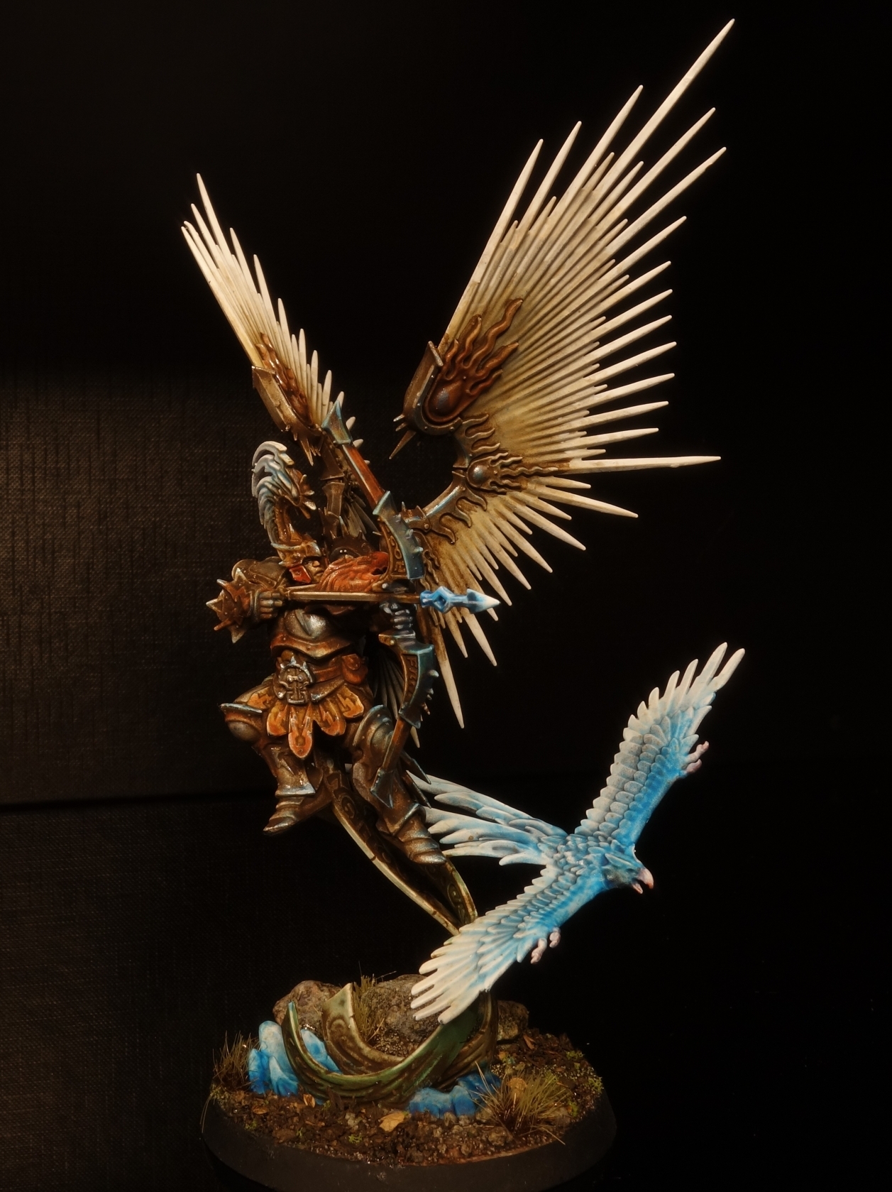 stormcast_flieger_18.jpg