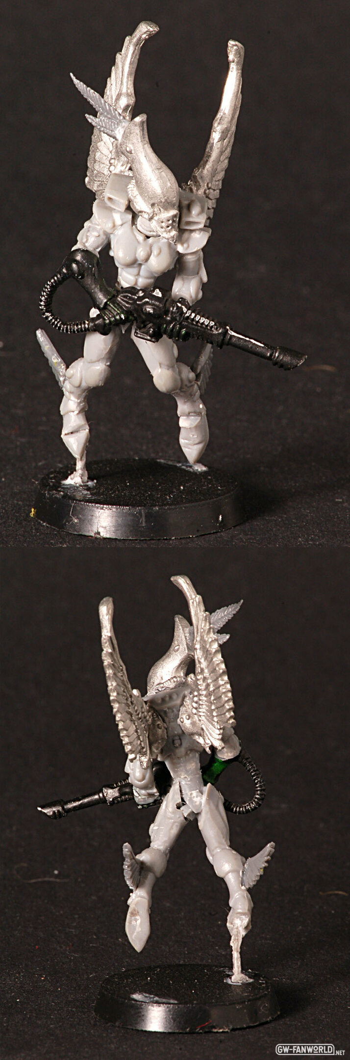 Sturmfalken_Proto.jpg