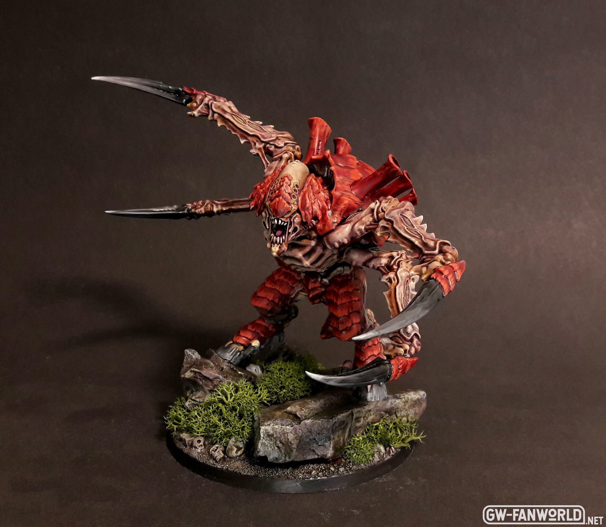Tarkus Dezember