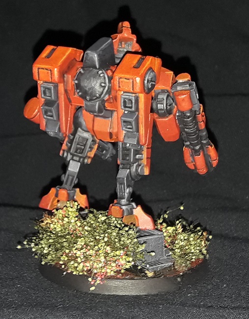 tiger boss (3).jpg