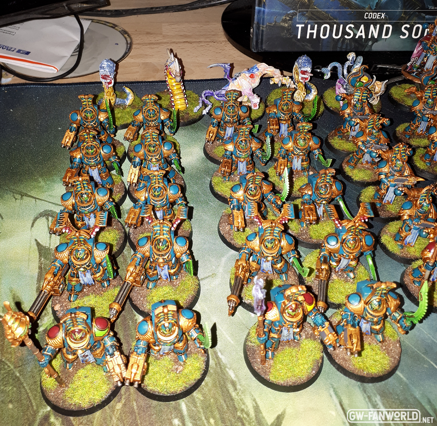TS Termi´s