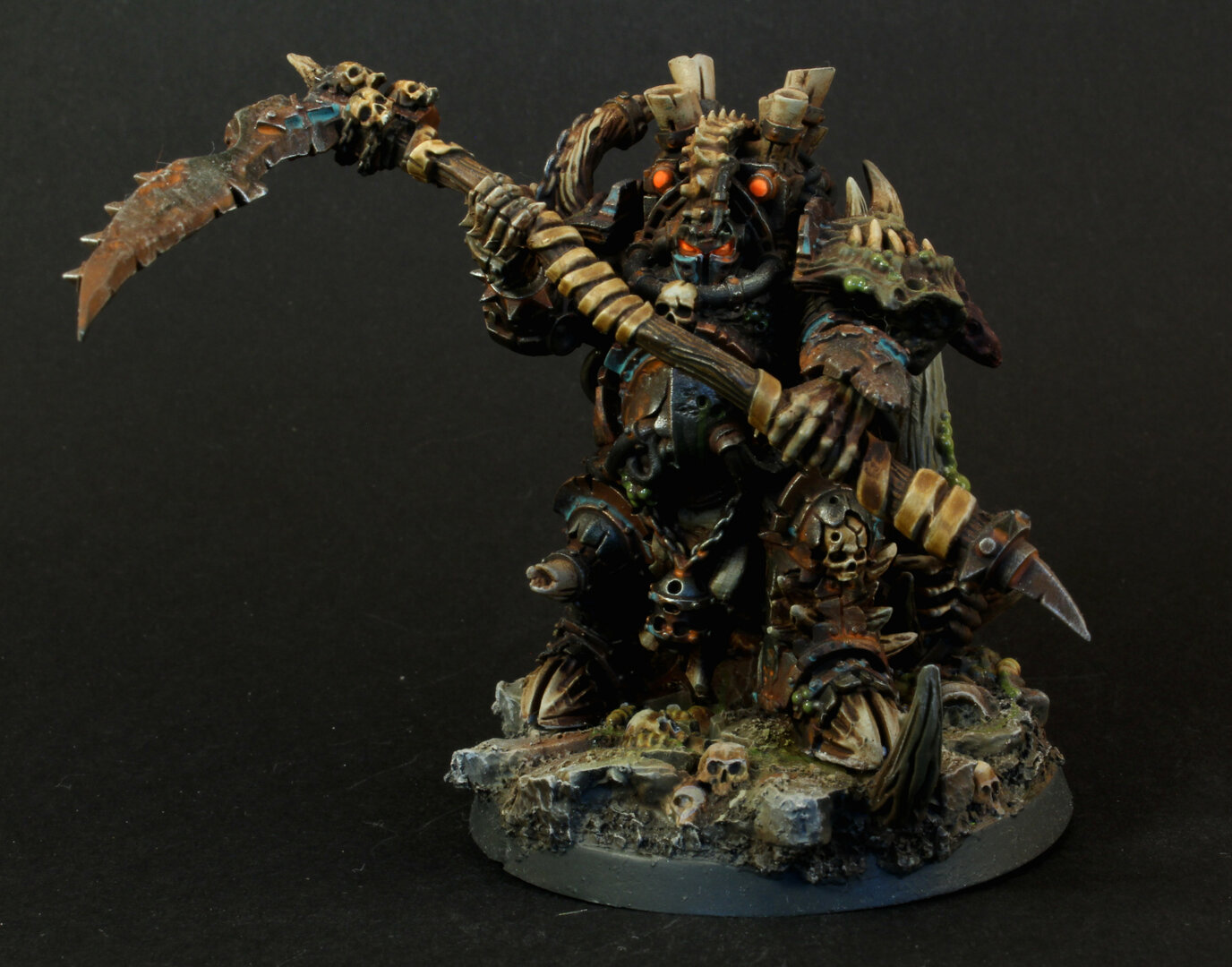 Typhus.jpg